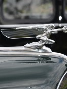 Passion for cars is lifelong from collecting and admiring to racing