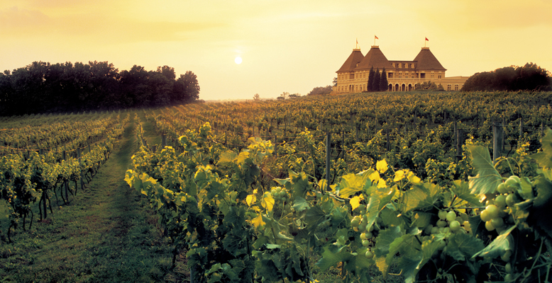 01_Chateau-Elan_Signature-Winery