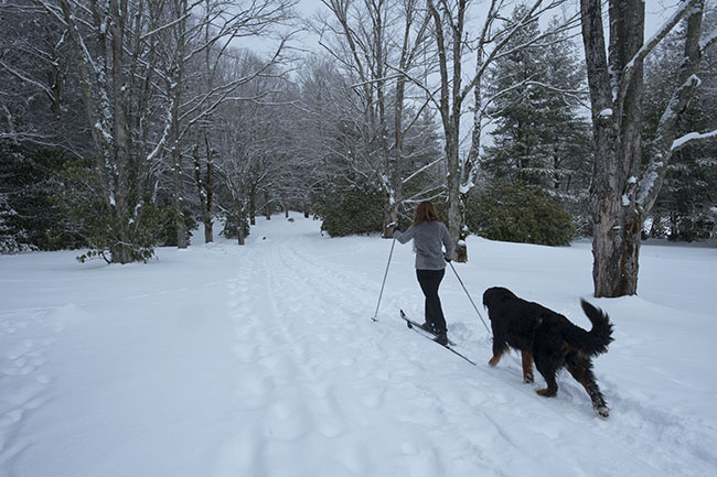CROSS COUNTRY SKIING WOMAN AND DOG (VisitNC.com/BILL RUSS).