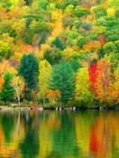 New Hampshire is the Place to be for a Perfect Fall Getaway