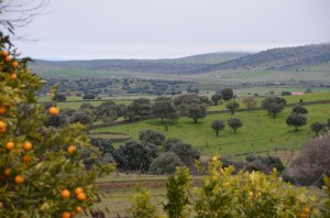 DSC_7721 extremadura countryside