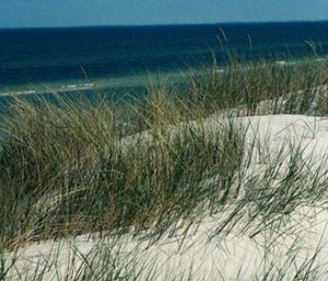 Baltic Sea 