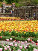 Biltmore Blooms Stars as New Healthy Aging® Facebook Cover Photo