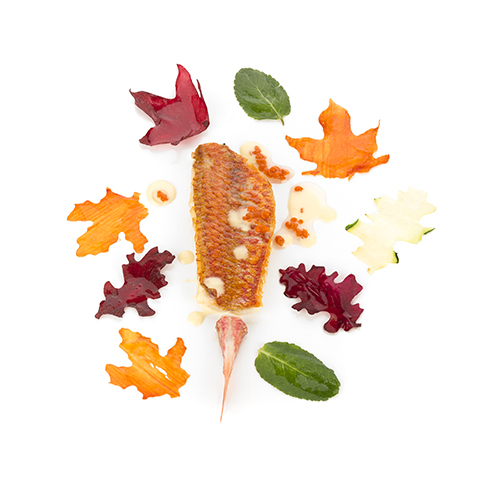 Red mullet with oak leaves. Photo: Coconut