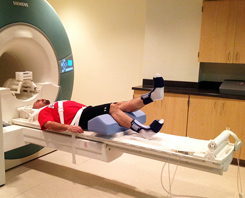 brain scans knee