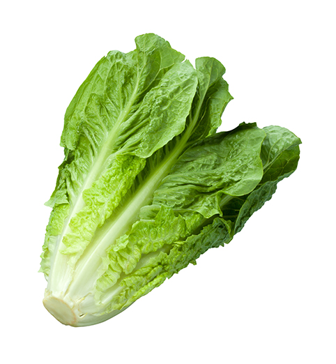 romaine lettuce healthyaging.net