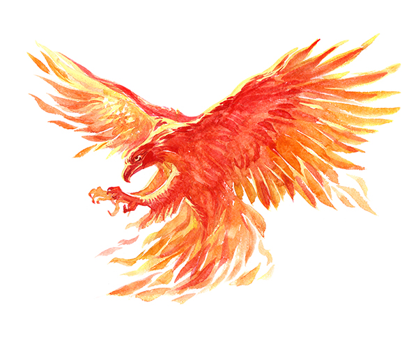 The phoenix is an immortal bird that cyclically regenerates or is otherwise born again