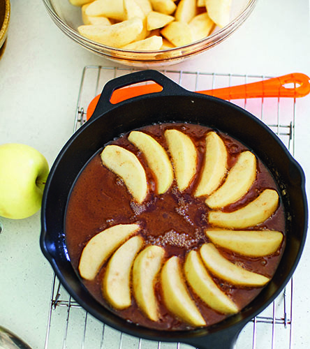 cast iron cookbook