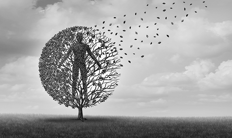 Healthy Aging longevity