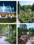 4 Must-Visit Botanical Gardens Across the U.S.