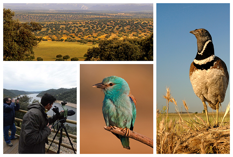 Extremadura scenes. Photo: Extremadura, Spain Tourism