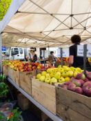 Farmers Markets to Visit This Spring Across the U.S.