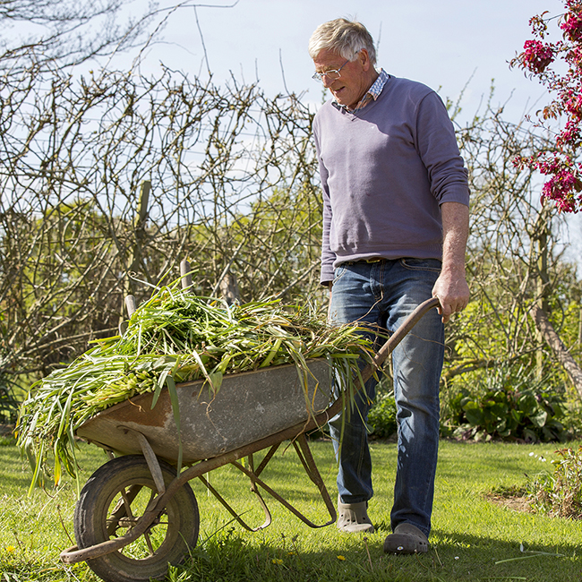 man pushing wheelbarrow gardening strength and mobility
