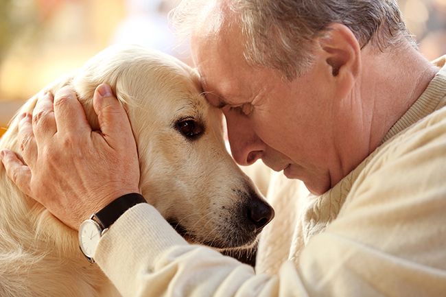 An affectionate bond between people and dogs can support emotional well-being and companionship. Photo: Depositphotos.