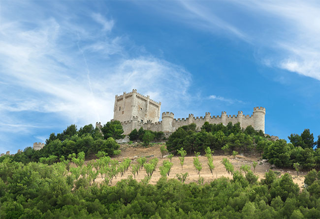 Castle of Peñafiel in Valladolid, Spain