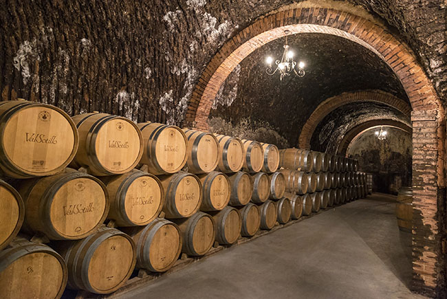 Oak barrels Ribera del Duero