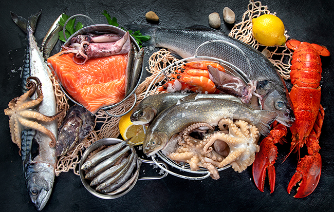 Variety of fresh seafood including salmon, lobster, octopus, fish and shellfish