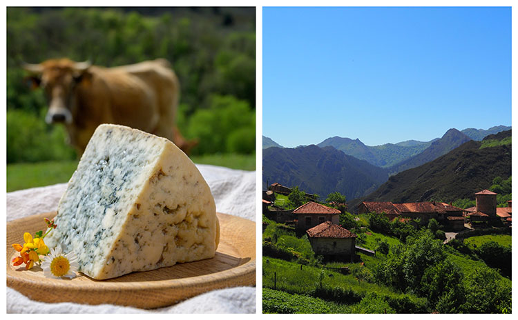 Cabrales blue cheese and mountain village in the scenic Asturias region of northern Spain